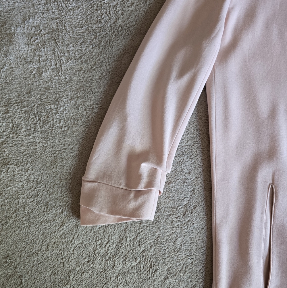 Aritzia Babaton Power Hip Blazer Peach size 8 - Picture 6 of 12